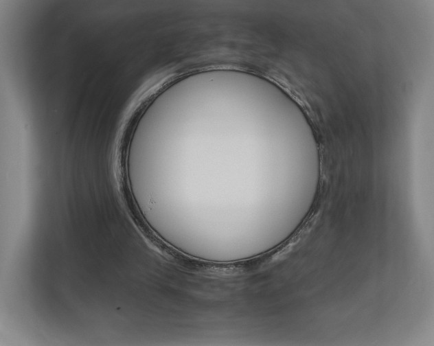 X0000110910245200906181012