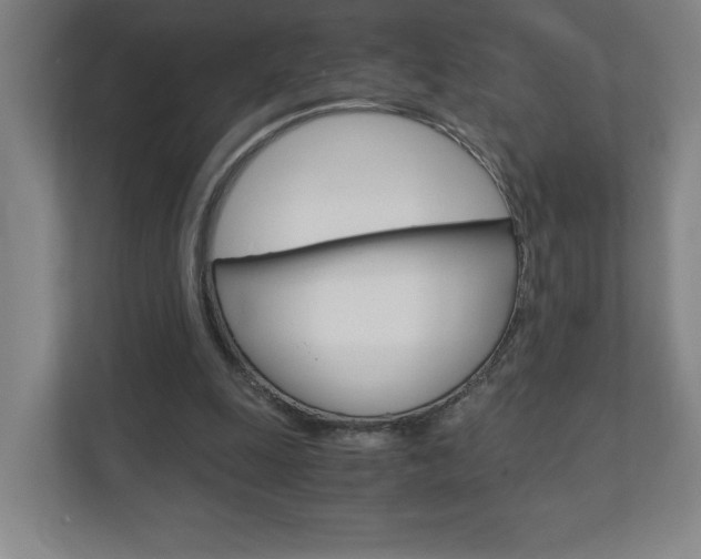 X0000110910247200906181012