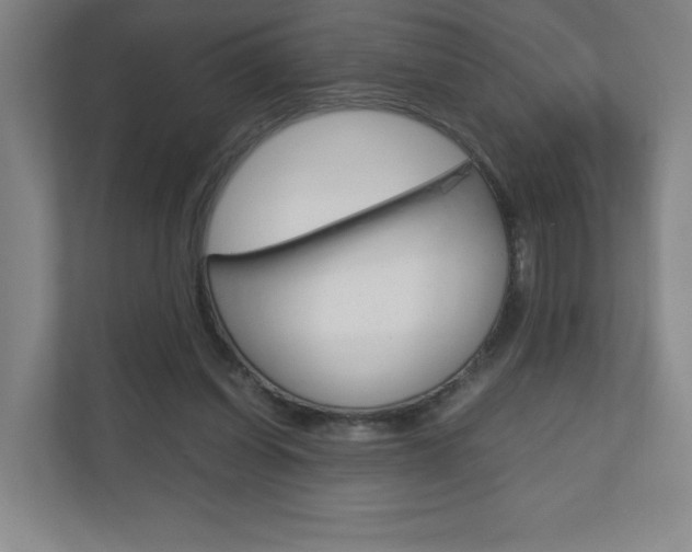 X0000110910254200906181012
