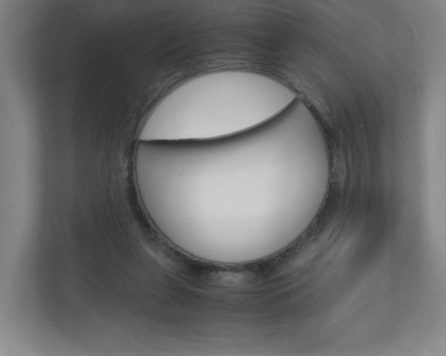 X0000110910255200906181012