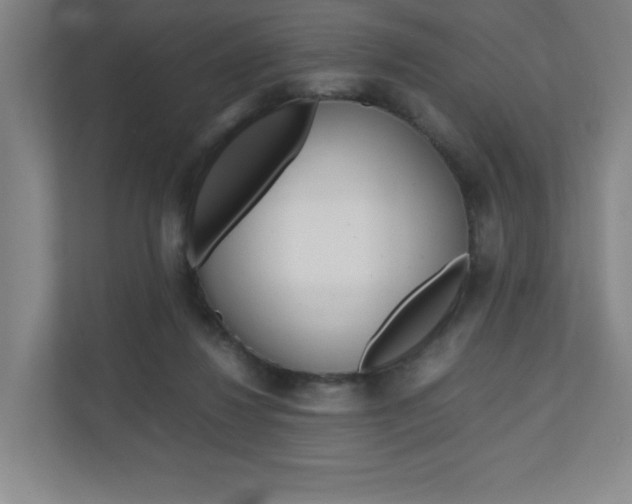 X0000110910260200906181012