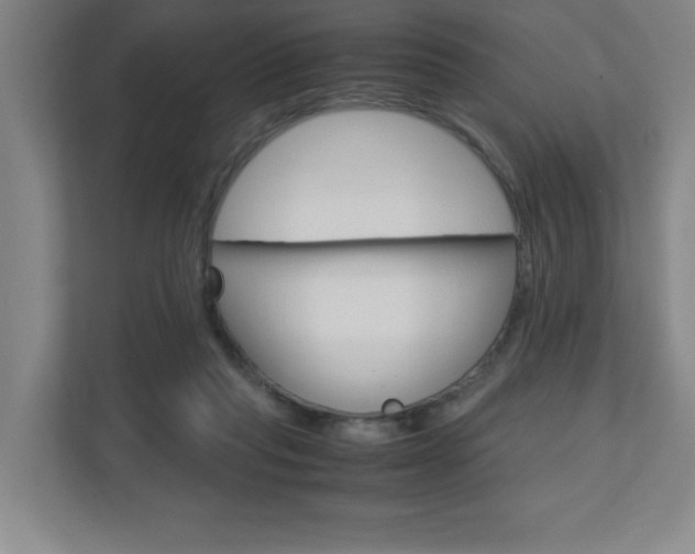X0000110910261200906181012