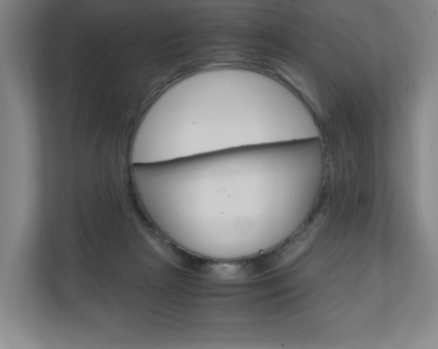X0000110910265200906181012