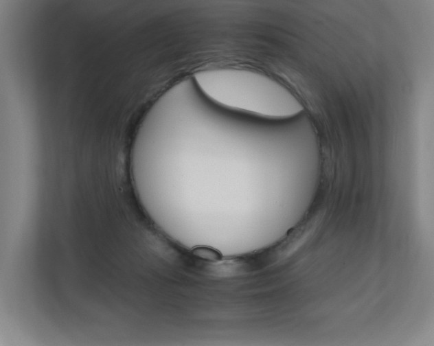 X0000110910269200906181012
