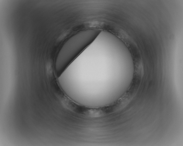 X0000110910272200906181012