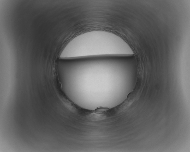 X0000110910280200906181012
