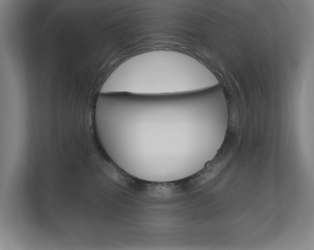 X0000110910282200906181012