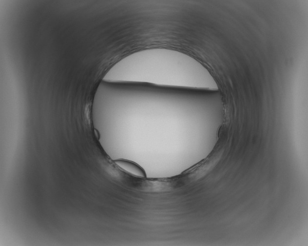 X0000110910286200906181012