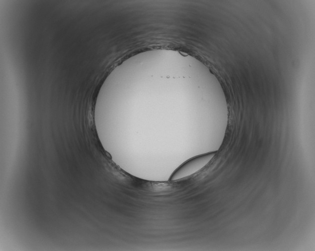 X0000110910287200906181012