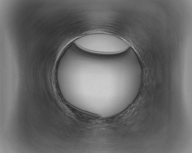 X0000110910289200906181011
