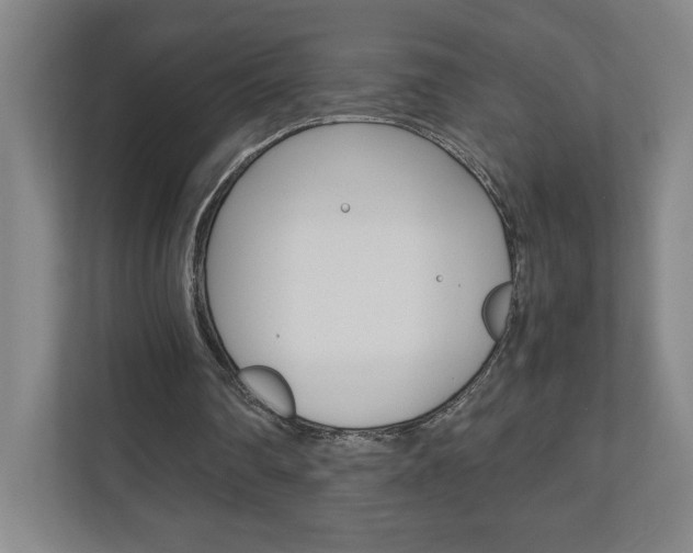 X0000110910290200906181011