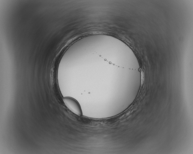 X0000110910291200906181011