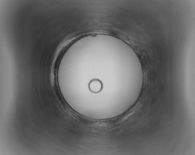 X0000110910294200906181011