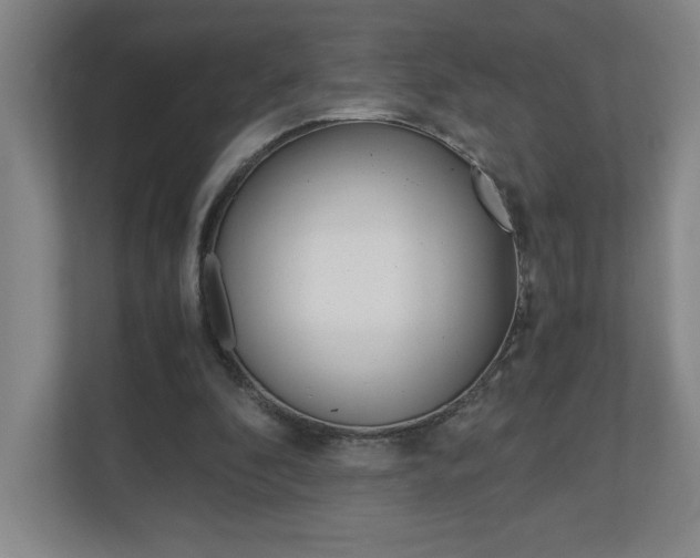 X0000110910296200906181011