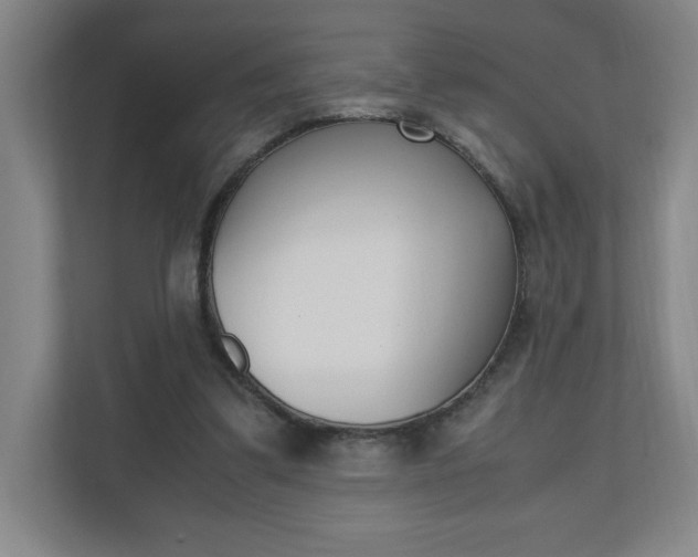 X0000110910299200906181011