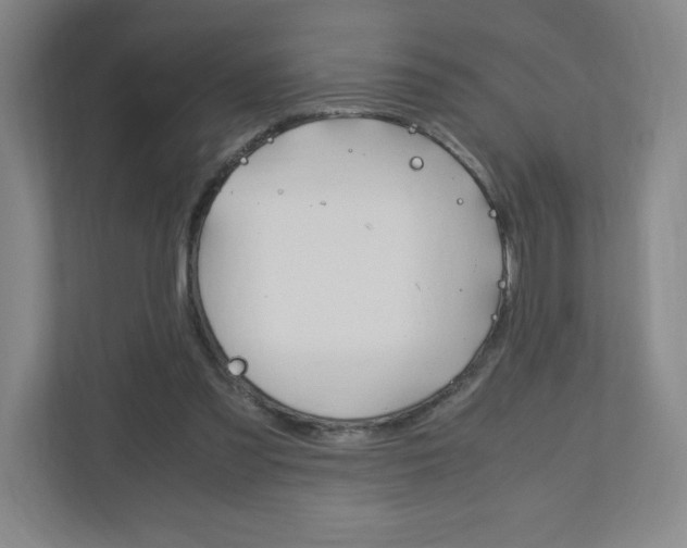 X0000110910301200906181011