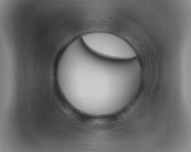 X0000110910303200906181011