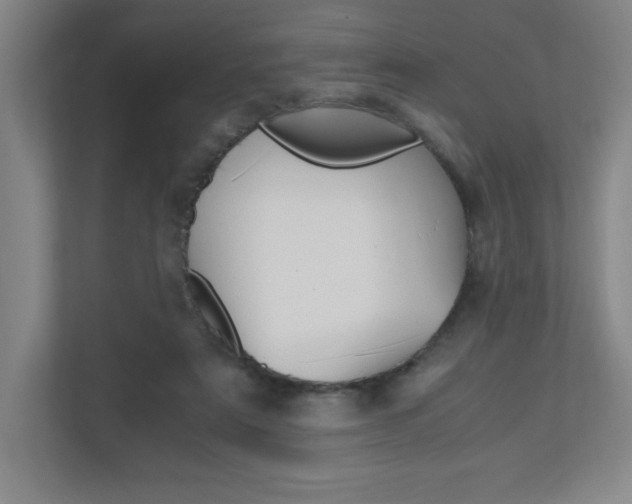 X0000110910307200906181011