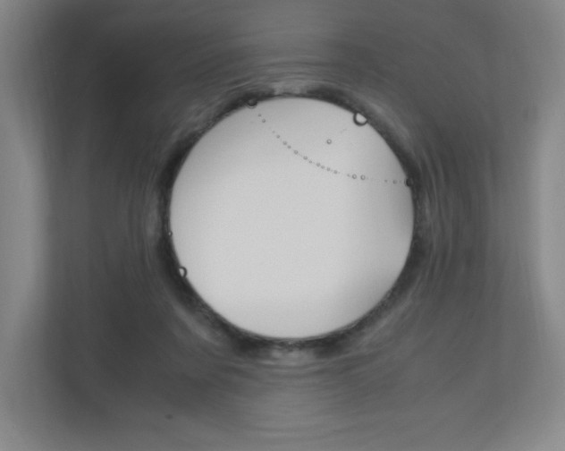 X0000110910311200906181011