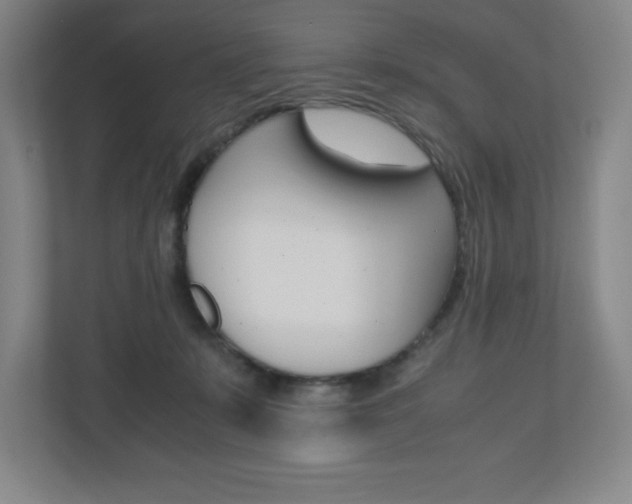 X0000110910319200906181011
