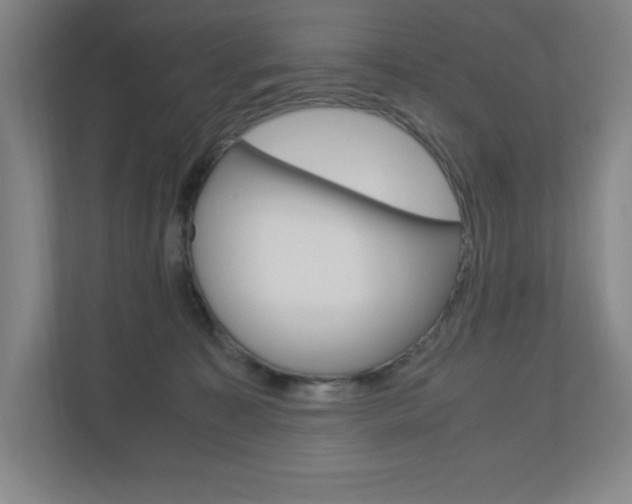 X0000110910323200906181011