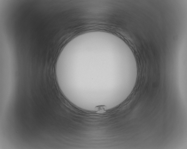 X0000110910325200906181011