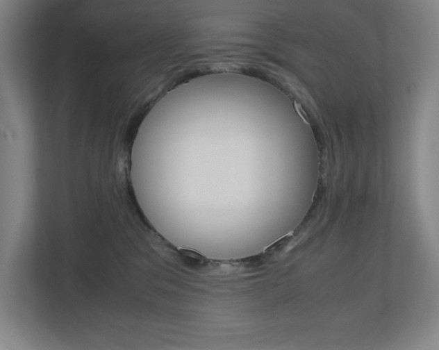 X0000110910329200906181011