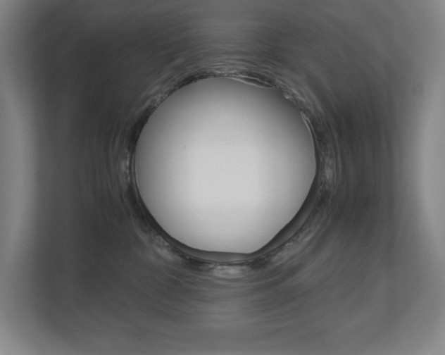 X0000110910332200906181011