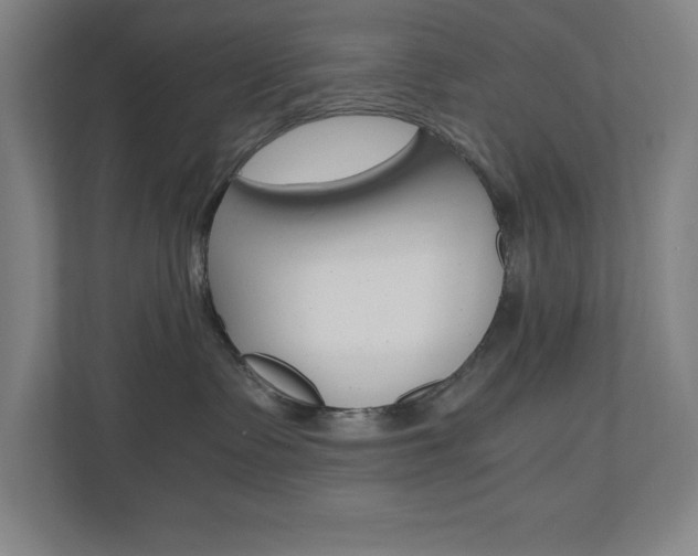 X0000110910335200906181011