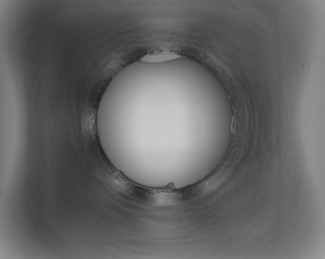 X0000110910336200906181011