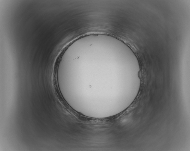 X0000110910338200906181010