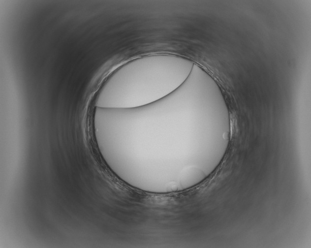 X0000110910339200906181010