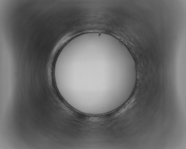 X0000110910341200906181010