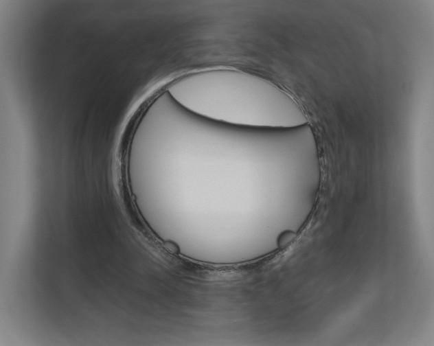 X0000110910342200906181010