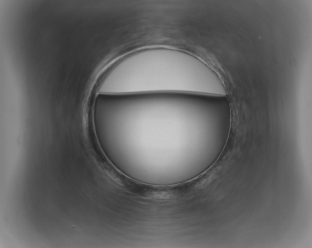 X0000110910344200906181010