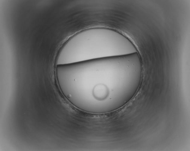 X0000110910345200906181010