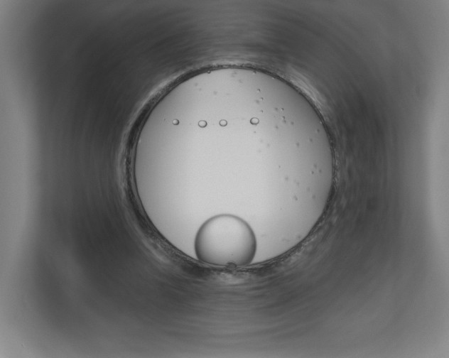 X0000110910346200906181010