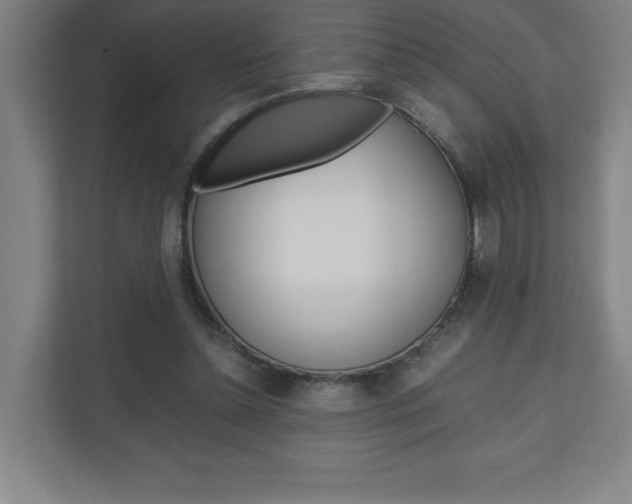 X0000110910348200906181010