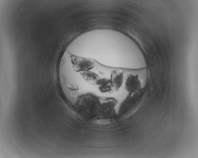 X0000110910353200906181010