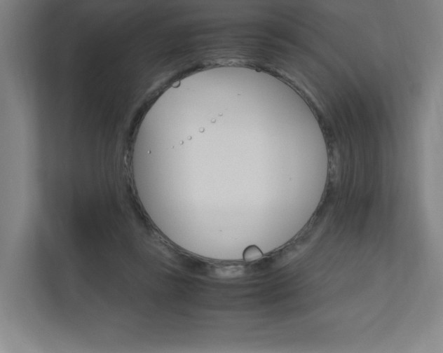 X0000110910355200906181010