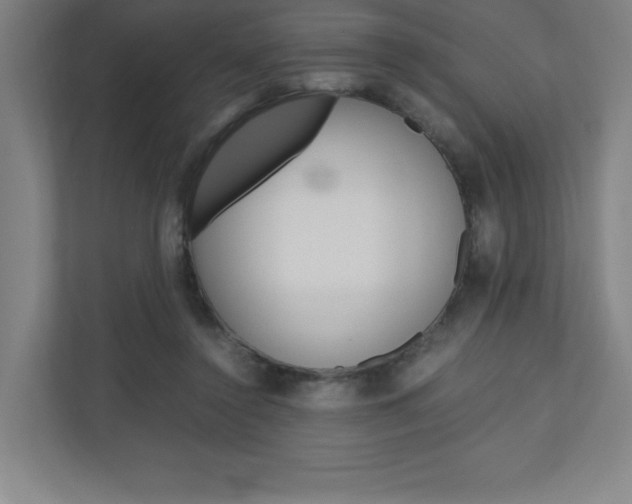 X0000110910356200906181010