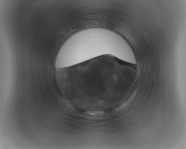 X0000110910359200906181011