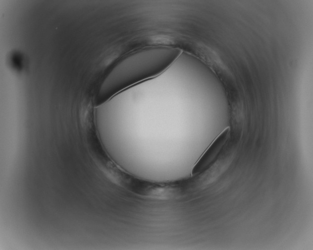 X0000110910364200906181011