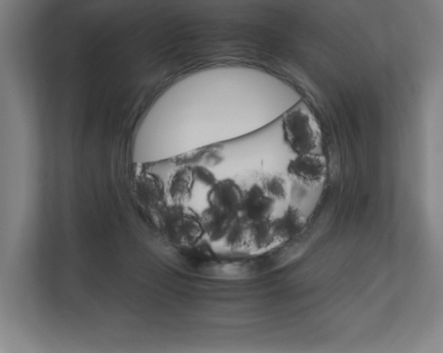 X0000110910365200906181011