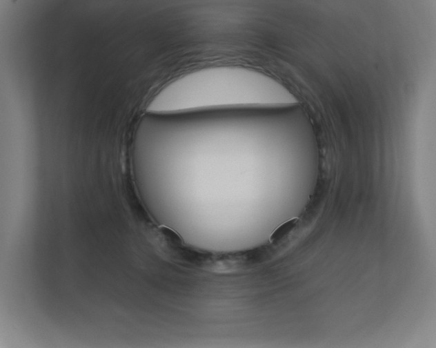 X0000110910368200906181011