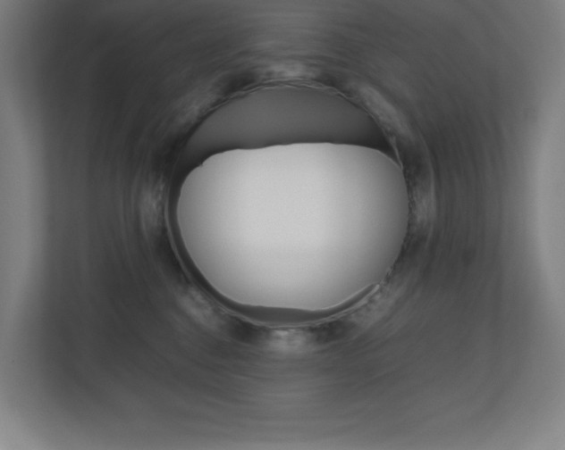X0000110910376200906181011