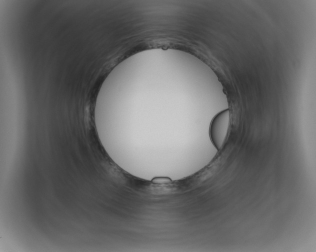 X0000110910378200906181011