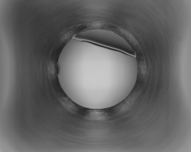 X0000110910380200906181011