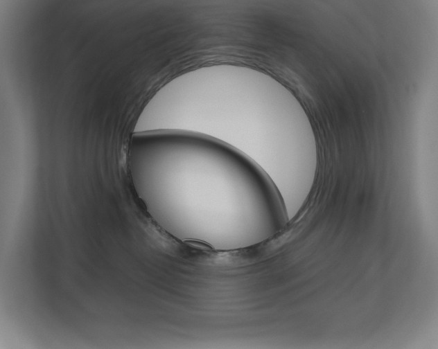X0000110910382200906181011