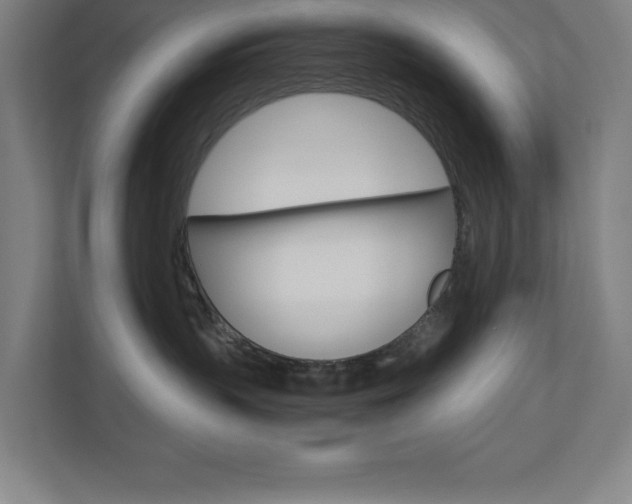 X0000110910383200906181011